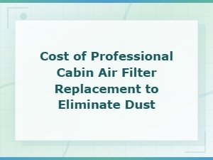 Cost of Professional Cabin Air Filter Replacement to Eliminate Dust